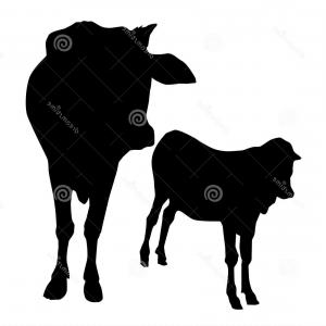 300x300 Photostock Vector Cow Silhouette Graphic Vector Silhouettes