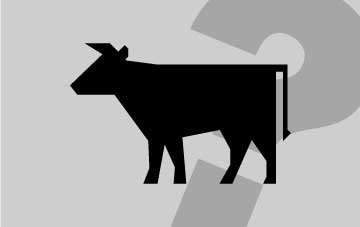 360x227 Grass Fed Beef Information New Zealand Meats