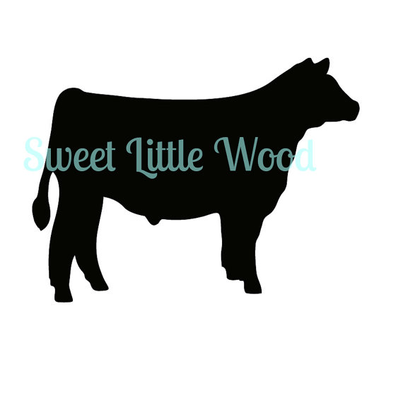 570x570 American Angus Association