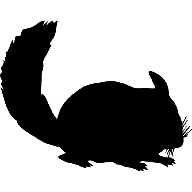 626x626 Chinchilla Mammal Animal Silhouette Icons Free Download