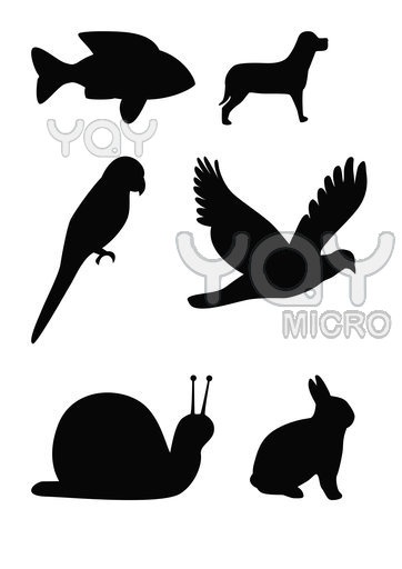 362x512 59 Best Animal Silhouette Images On Silhouettes