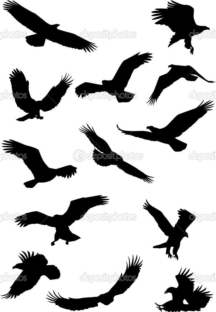 710x1024 Eagle Silhouette Collection Misc. Eagle Silhouette
