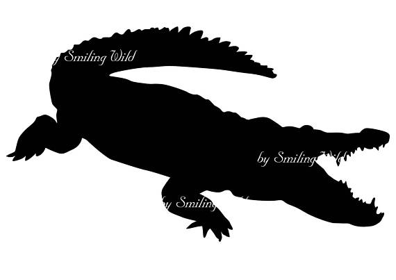 570x403 Crocodile Svg Silhouette Clipart Animal Cut Out File Vector