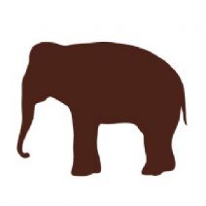 300x300 Elephant Graphics Graphics