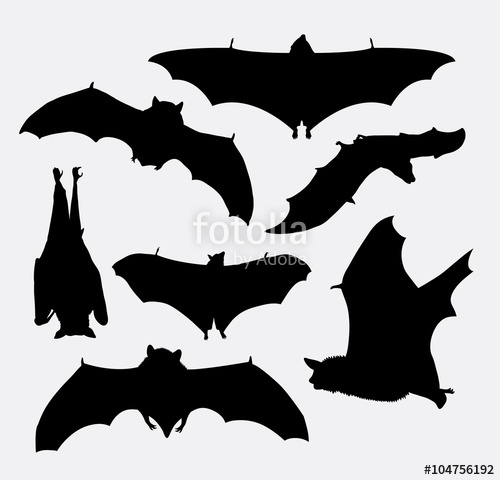 500x480 Bat Flying Animal Silhouette. Good Use For Symbol, Logo, Web Icon