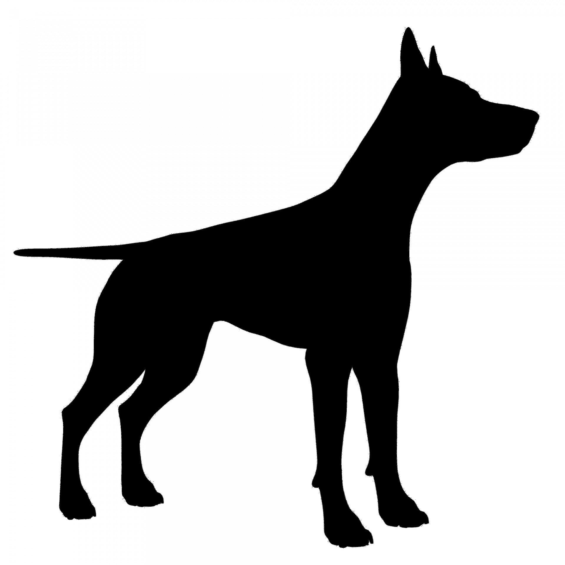 1920x1920 Dog Silhouette Free Stock Photo