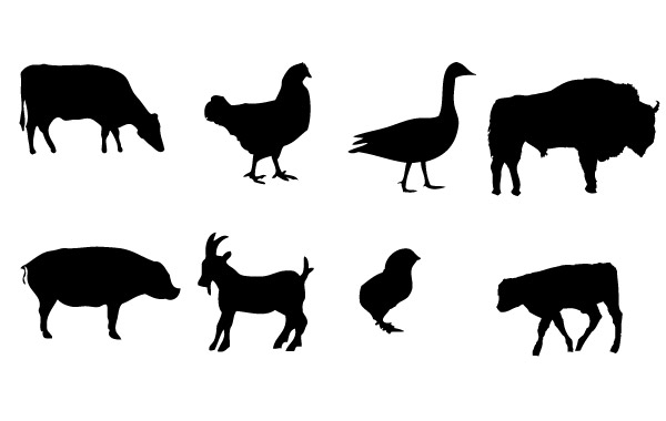 600x380 Farm Animals Clipart Silhouette 3519204