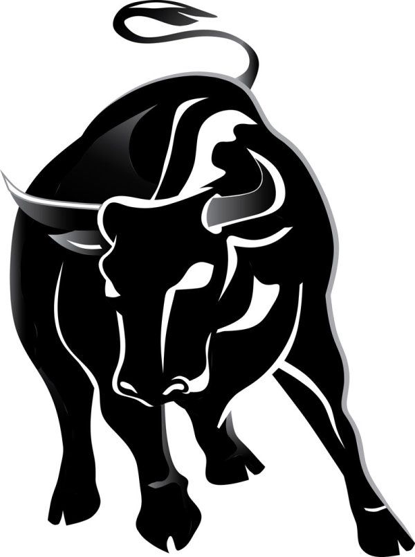 600x804 Set Of Angry Bulls Design Vector 04
