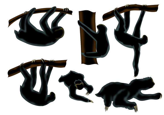700x490 Sloth Animal Silhouette