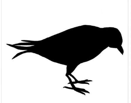 447x350 Pin By Kayla Fox On Animal Silhouettes, Vectors, Clipart, Svg