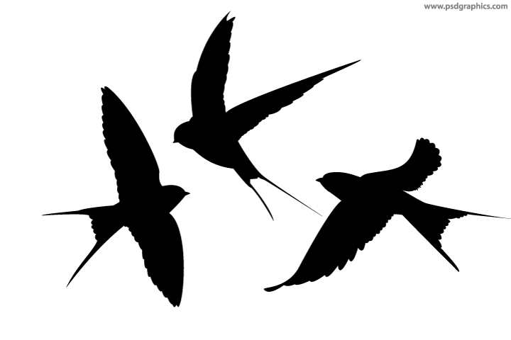 720x480 Swallows Vector Silhouettes Psdgraphics