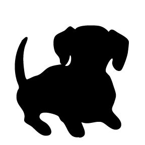 288x288 Dachshund Three Dogs Wallpapers Canadian Pet Care Images