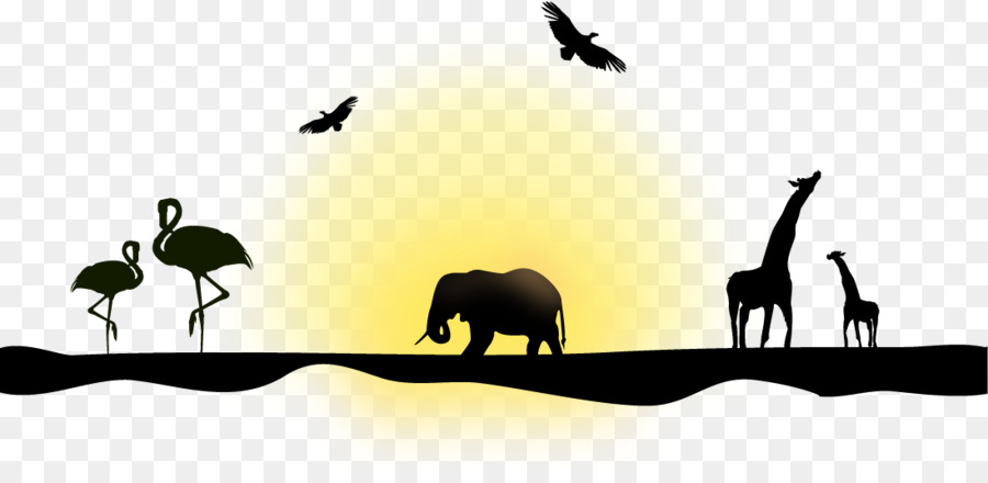 900x440 Northern Giraffe Silhouette Euclidean Vector Elephant