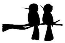 219x147 Anna And Andy Part 2 Anna And Anna Hummingbird