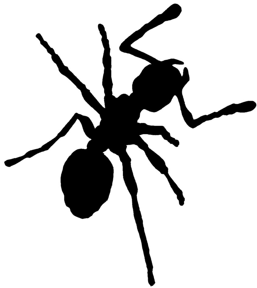 844x947 Ant Silhouette By Zucco1