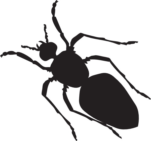 600x561 Black Ant Silhouette Clip Art