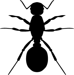 238x241 Ant Silhouette Silhouette Of Ant