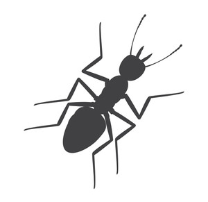 300x291 Ant Silhouette Vector Illustration Royalty Free Stock Image