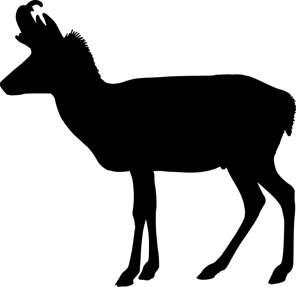 1035x1001 Pronghorn Antelope Silhouette