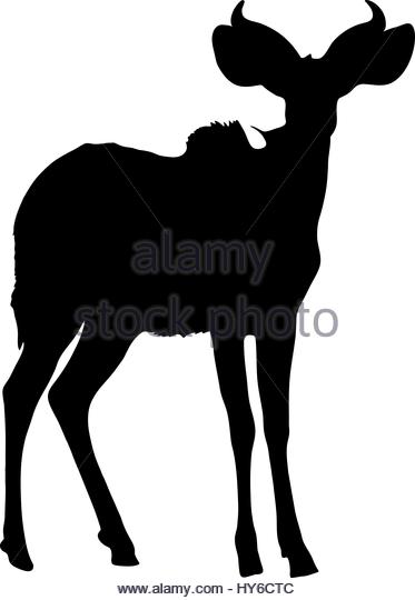 373x540 Silhouette Standing Kudu Antelope Stock Photos Amp Silhouette