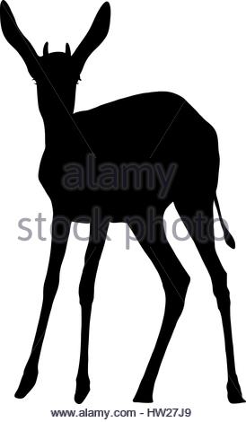 274x470 Silhouette Of A Standing Springbok Antelope Stock Vector Art