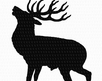 340x270 Deer Clipart