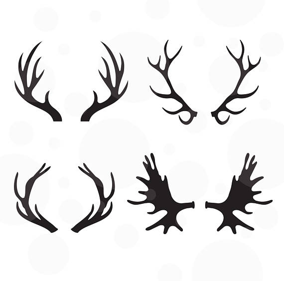 570x564 Antlers Svg Set Of 4 Vectors Cut File For Silhouette