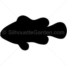 236x234 Seashell Silhouette Clip Art. Download Free Versions Of The Image