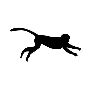 340x340 Free Silhouette Vector