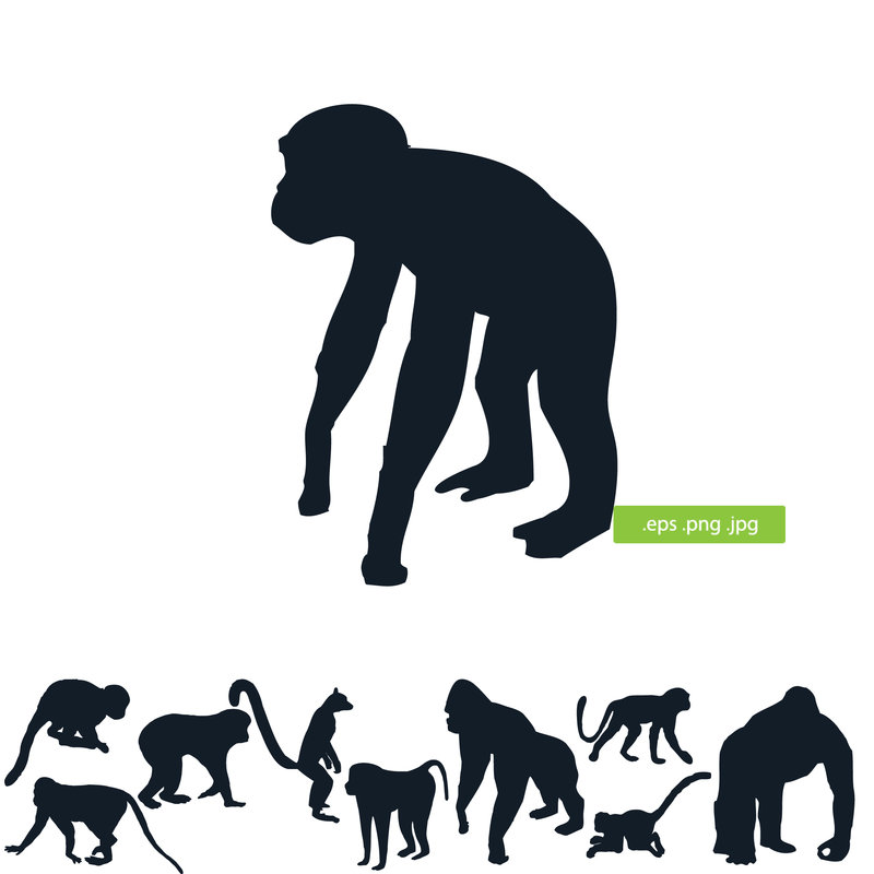 800x800 Monkeys Silhouette By Silhouettes Clipart