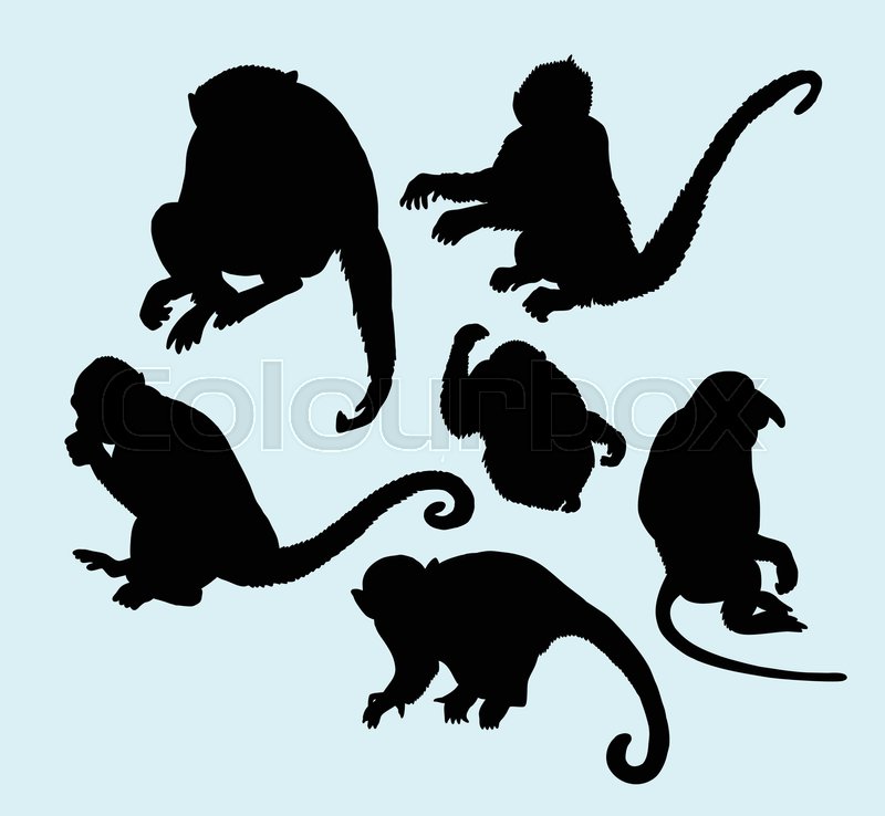 800x738 Ape And Monkey Action Silhouette. Good Use For Logo, Web Icons