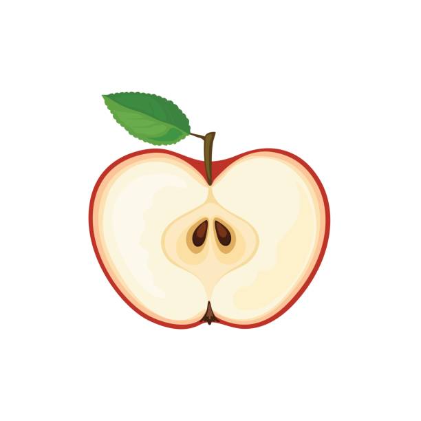 612x612 Clip Art Half Apple
