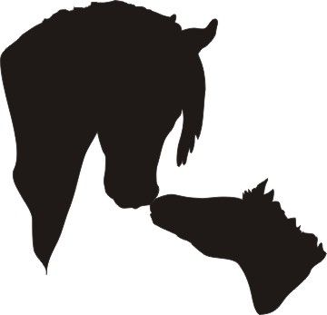 Arabian Horse Head Silhouette