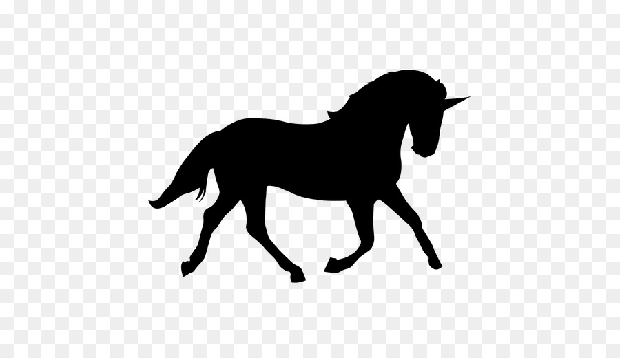 900x520 Arabian Horse Tennessee Walking Horse Morgan Horse Silhouette