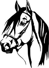 162x225 Horse Decals Ebay