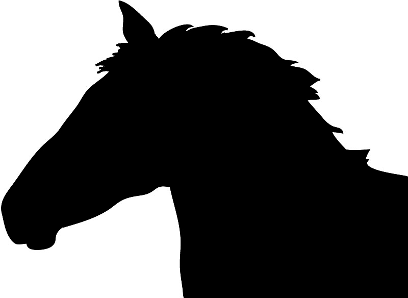 800x584 Horse Head Horse Silhouette Clipart