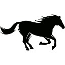 128x128 Arabian Horse Vectors, Photos And Psd Files Free Download