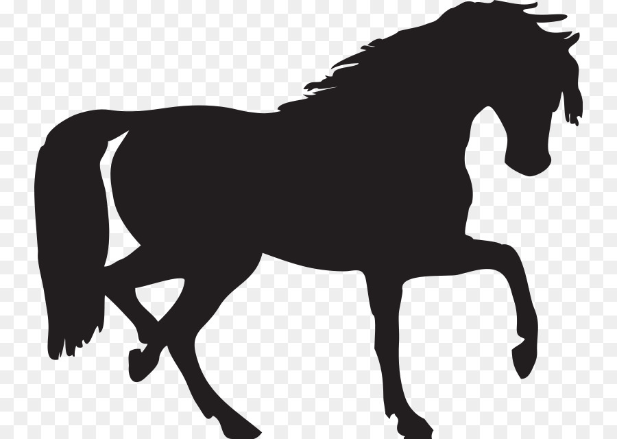 900x640 Arabian Horse Mustang Silhouette Clip Art