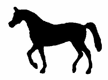 350x260 Arabian Horse Magnetic Automotive Amp Trailer Silhouette