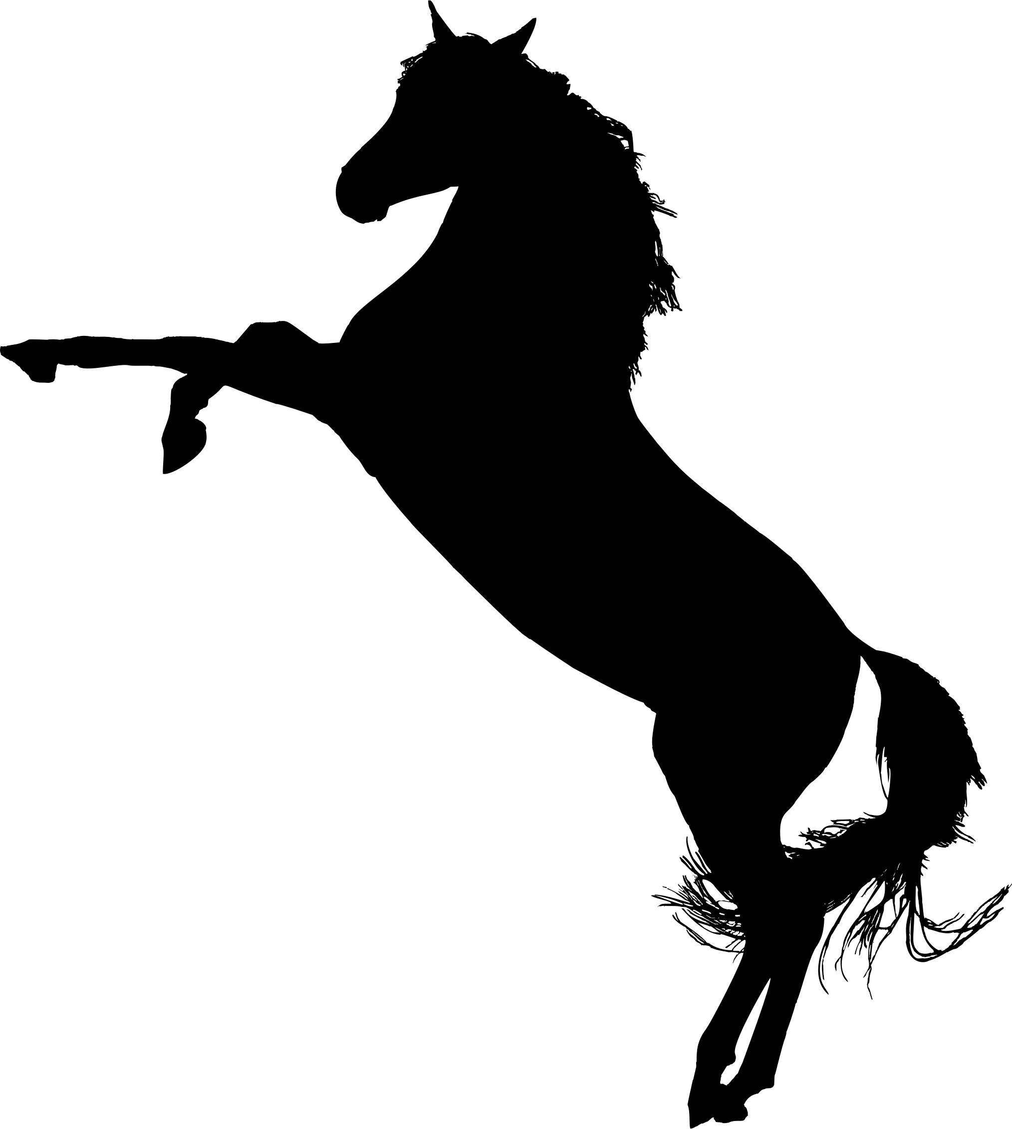 2028x2262 Arabian Horse Silhouette Icons Png