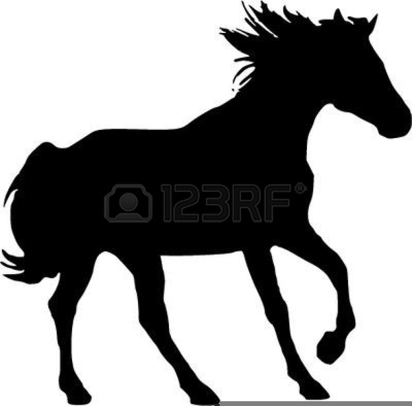600x591 Free Arabian Horse Clipart Free Images