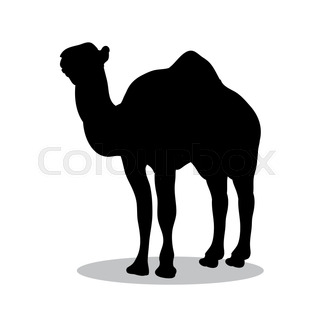 320x320 Camel Mammal Color Silhouette Animal. Vector Illustrator. Stock