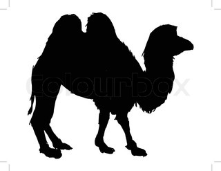 320x247 Silhouette Of Caravan Mit People And Camels Wandering Through