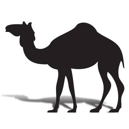 450x450 Standing Camel Silhouette International Prom Ideas