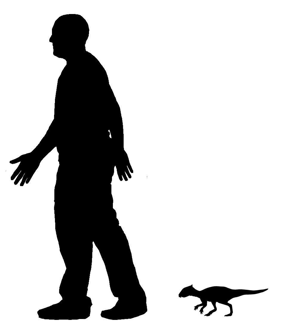 951x1078 The Longest Cell In Andy Farke Sauropod Vertebra Picture Of The Week