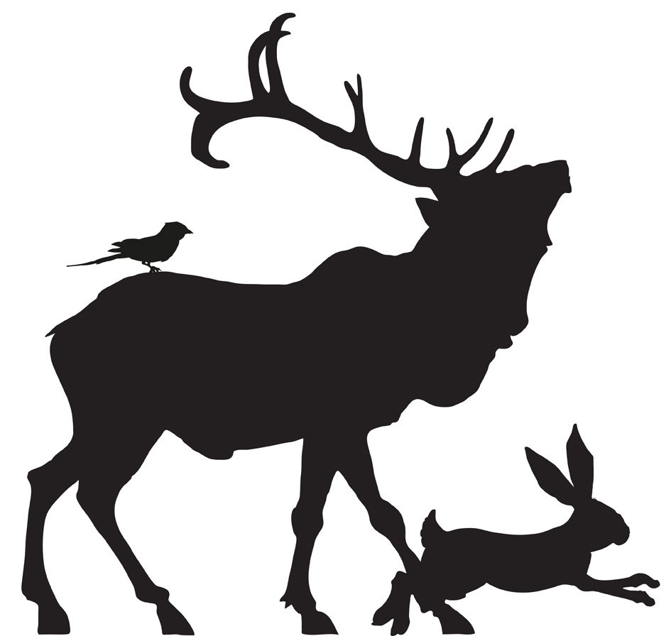 945x896 Images For Gt Stag Silhouette Png Images London
