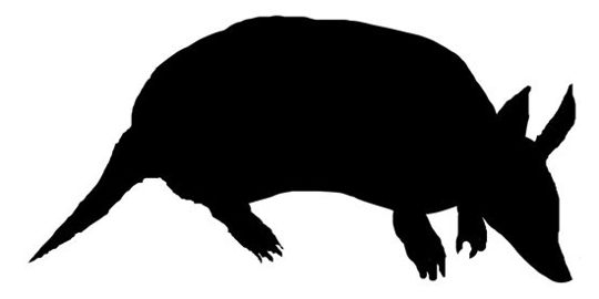 540x270 Armadillo Silhouette