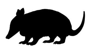 320x182 Armadillo Silhouette 1 Decal Sticker