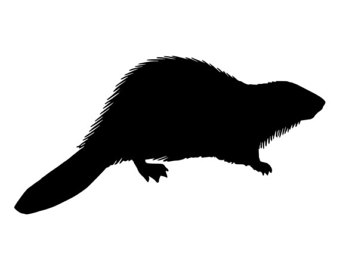 340x270 Armadillo Silhouette 2 Die Cut Decal Car Window Wall Bumper
