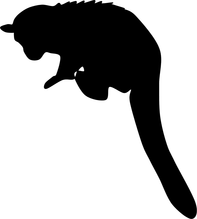 761x842 Army Helicopter Silhouette Clipart Library